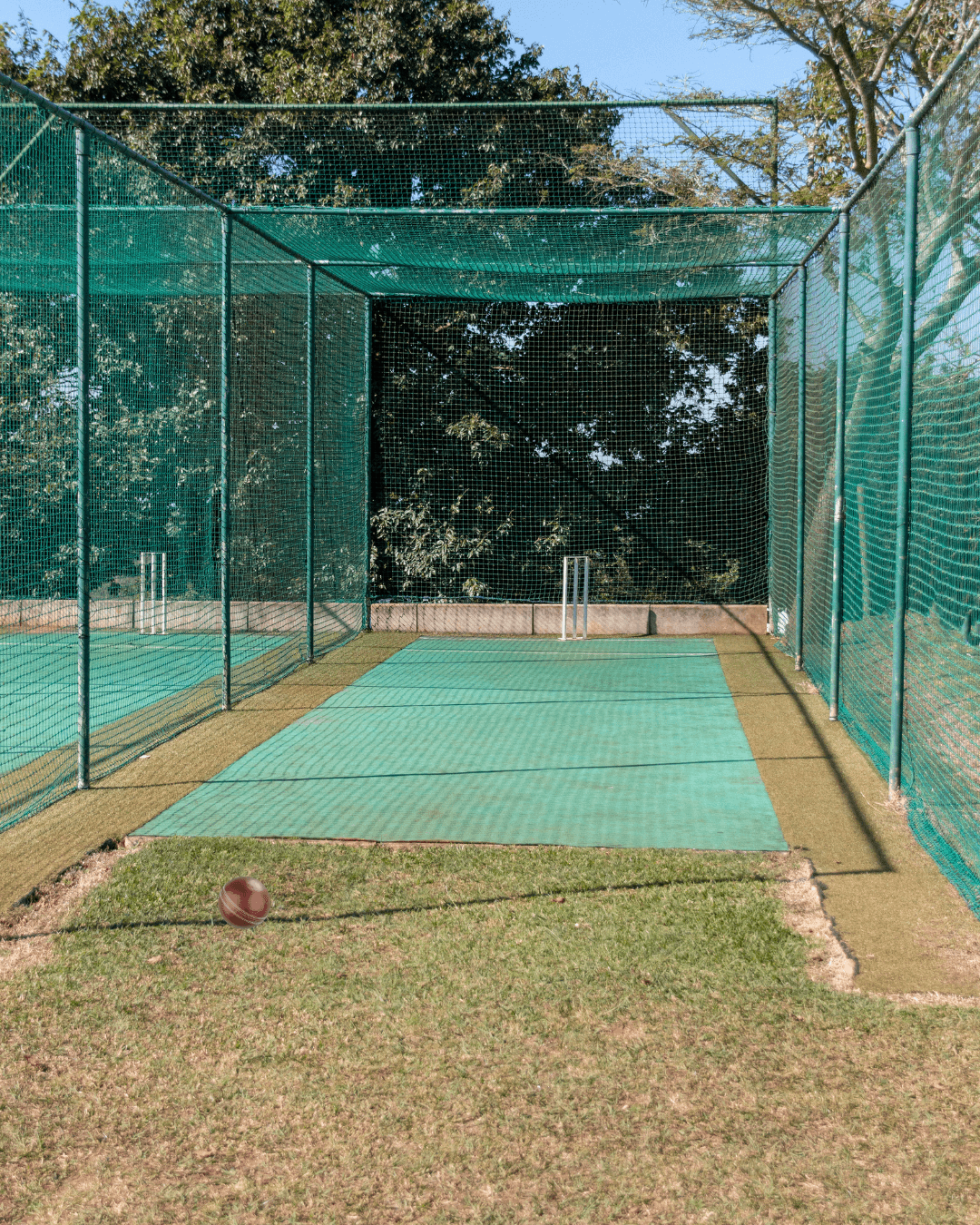 Cricket nets at our central facility